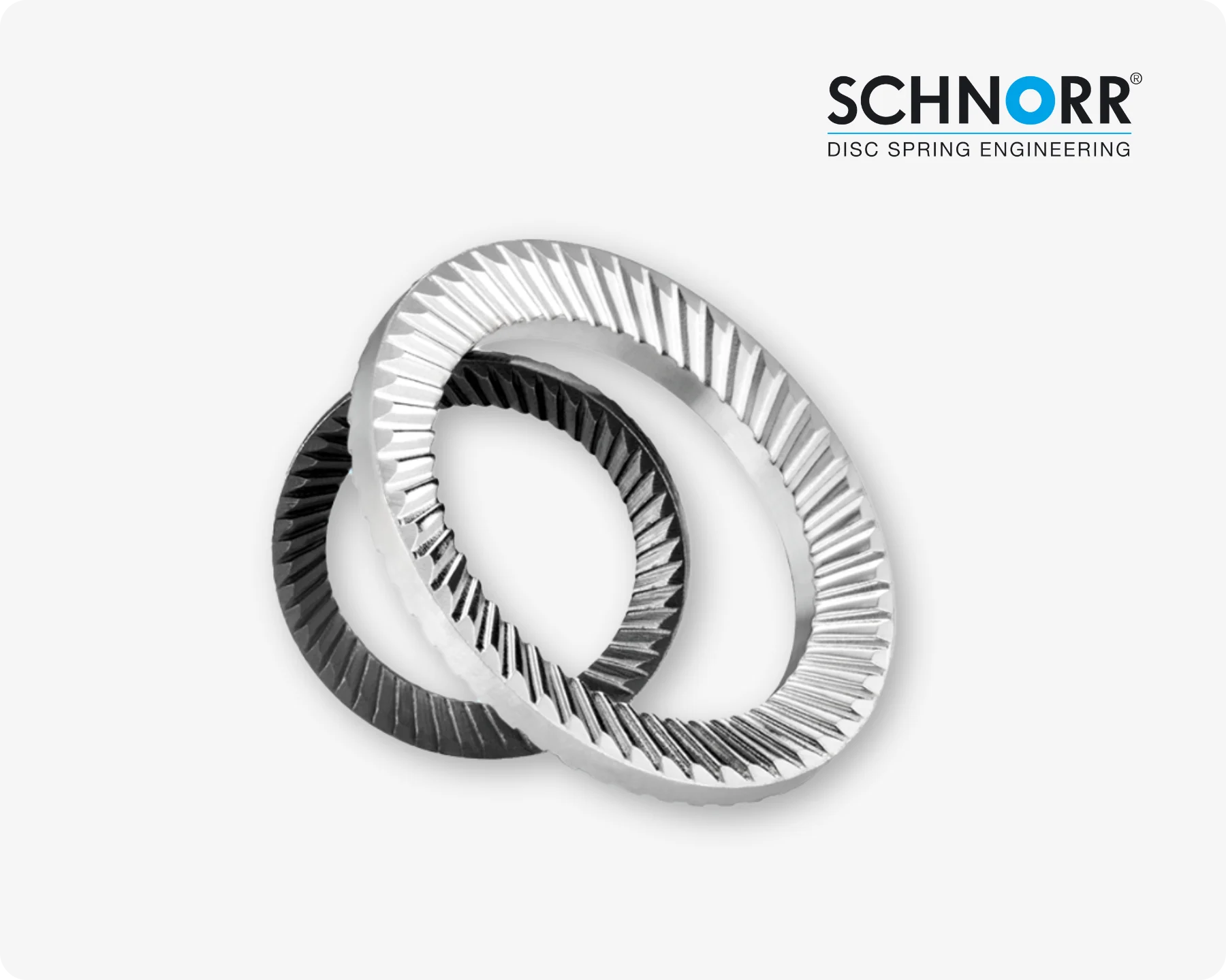 特写镜头展示两枚SCHNORR®螺栓锁紧垫圈(安全垫圈)在浅灰色背景上。